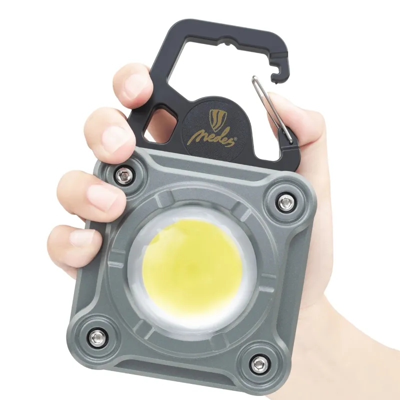 LED working rechargeable light - WL10R