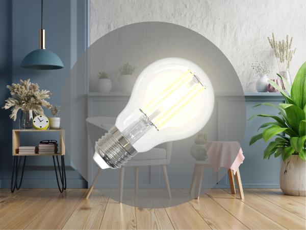 LED filament WHITE 7,5W - A60 / E27 / 3000K - ZWF101 1