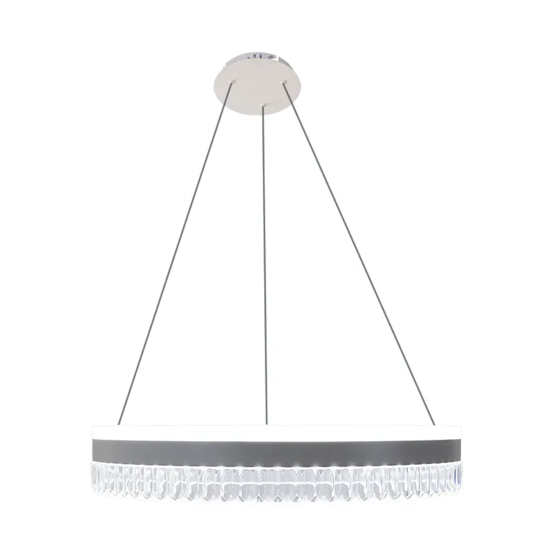 LED luxury pendant light with remote control 80W - TA2302/W