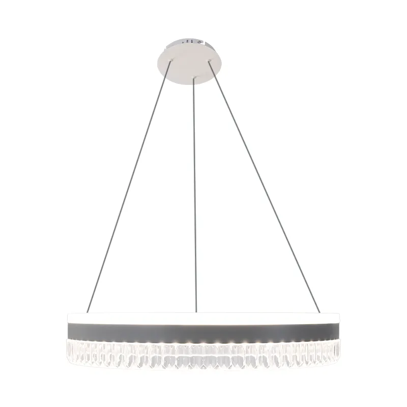 LED luxury pendant light with remote control 80W - TA2302/W