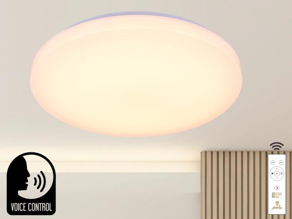 LED ceiling light OPAL + RC + VOICE CONTROL 48W - LC902SV 1