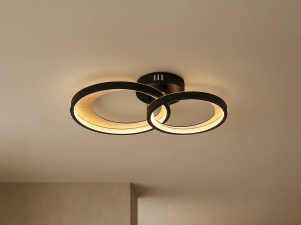 LED ceiling light + remote control 35W - TA1339/B