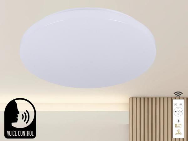 LED ceiling light OPAL + RC + VOICE CONTROL 48W - LC902SV