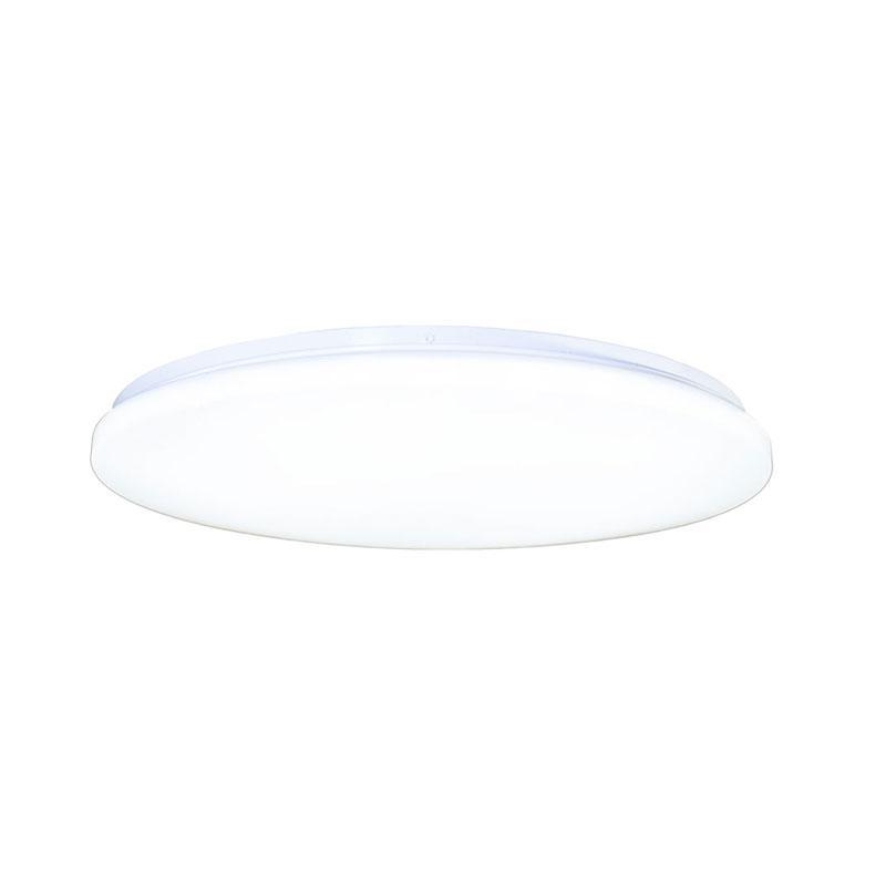 LED light OPAL 48W / SMD / 4000K - LCL425S