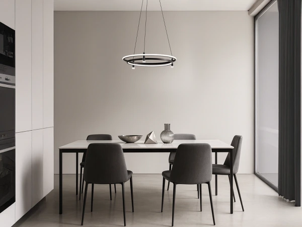 LED pendant light with remote control 100W - TA2312/B 1