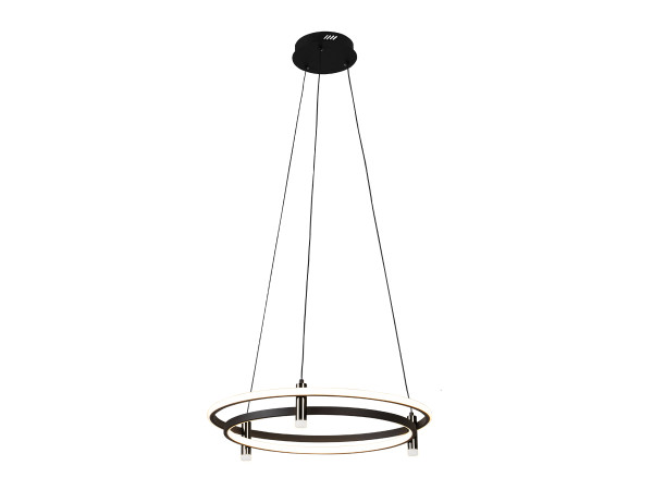 LED pendant light with remote control 100W - TA2312/B 4