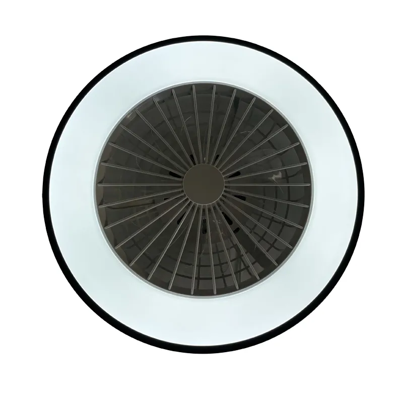 LED light OPAL + ceilings fan + remote control 48W - LCL6344