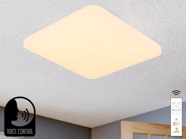 LED ceiling light OPAL + RC + VOICE CONTROL 48W - LC902S/SV 1