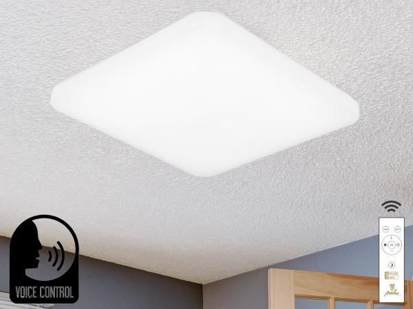 LED ceiling light OPAL + RC + VOICE CONTROL 48W - LC902S/SV