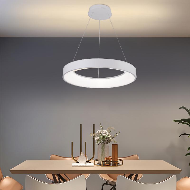 LED pendant light with remote control 45W - J4376/W 4