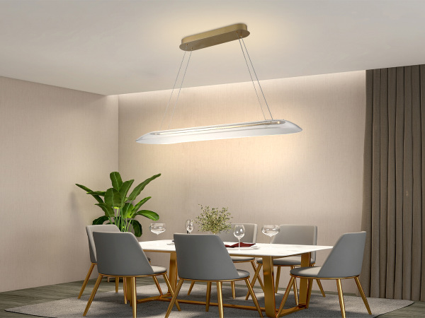 LED pendant light with remote control 40W - J4370/G 3