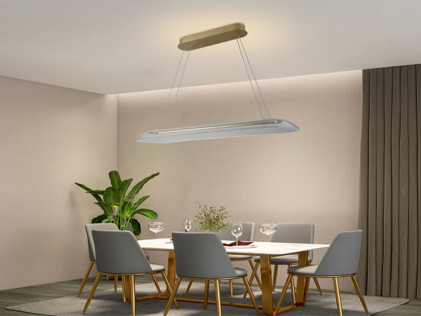LED pendant light with remote control 40W - J4370/G 2