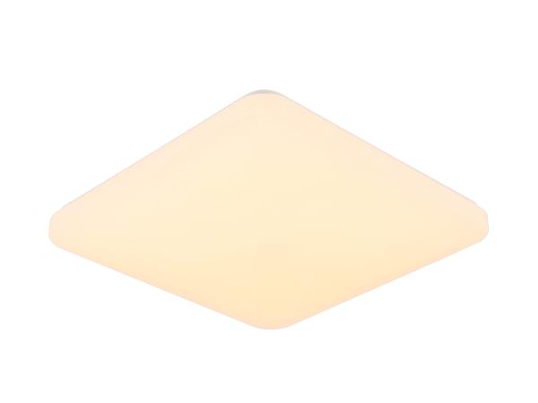 LED ceiling light OPAL + RC + VOICE CONTROL 48W - LC902S/SV 4