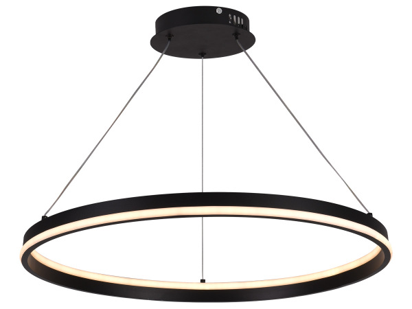 LED pendant light + remote control, 80W - J4393/B 5
