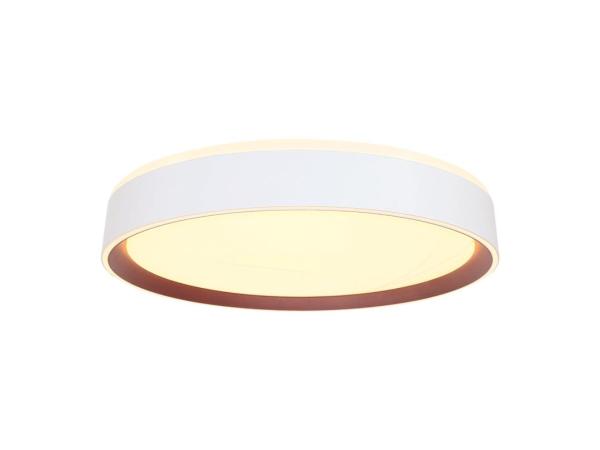 LED ceiling light OPAL + RC + VOICE CONTROL 48W - LC902MV 3