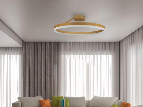 LED ceiling light with remote control 40W - TA1313/G 2