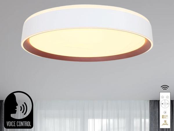 LED ceiling light OPAL + RC + VOICE CONTROL 48W - LC902MV 1