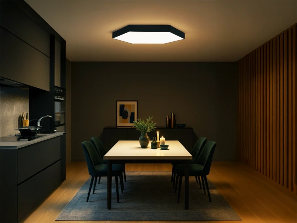 LED ceiling light 200W - CL7333 1