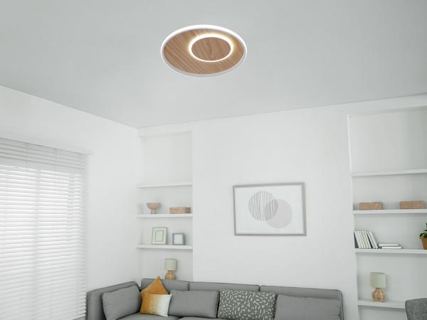 LED ceiling light + remote control 65W - TB1302/WG 3