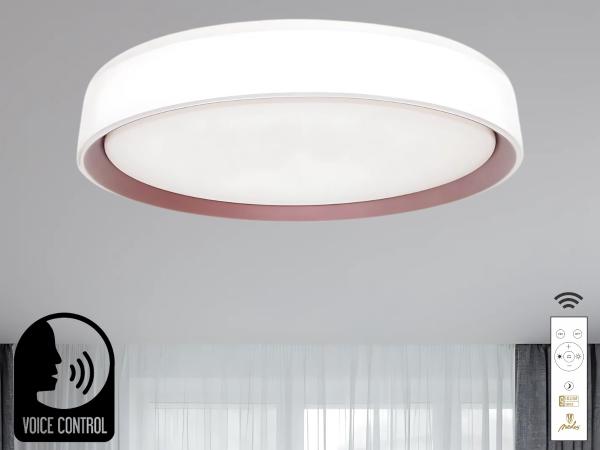 LED ceiling light OPAL + RC + VOICE CONTROL 48W - LC902MV