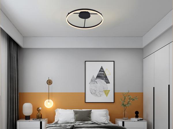 LED ceiling light with remote control 55W - J1347/B 3