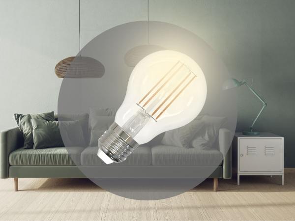 LED dimmable filament 11W - A60 / E27 / 3000K - ZLF513D 1