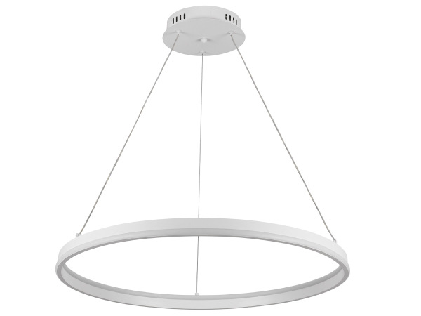 LED pendant light + remote control, 80W – J4393/W 2