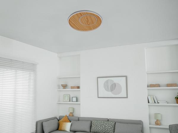 LED ceiling light + remote control 65W - TB1302/WG 2