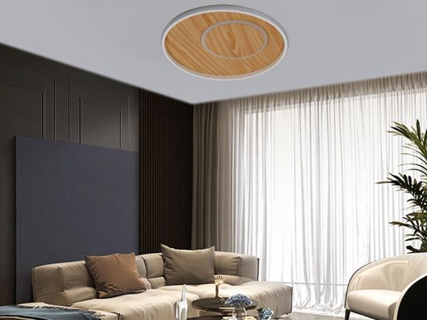 LED ceiling light + remote control 65W - TB1302/WG