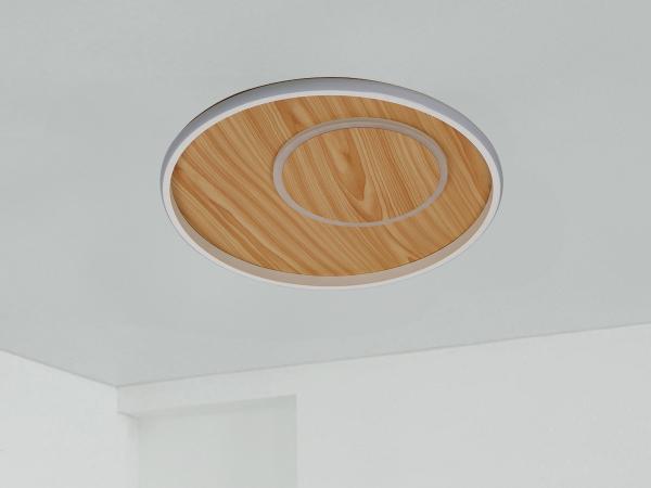 LED ceiling light + remote control 65W - TB1302/WG