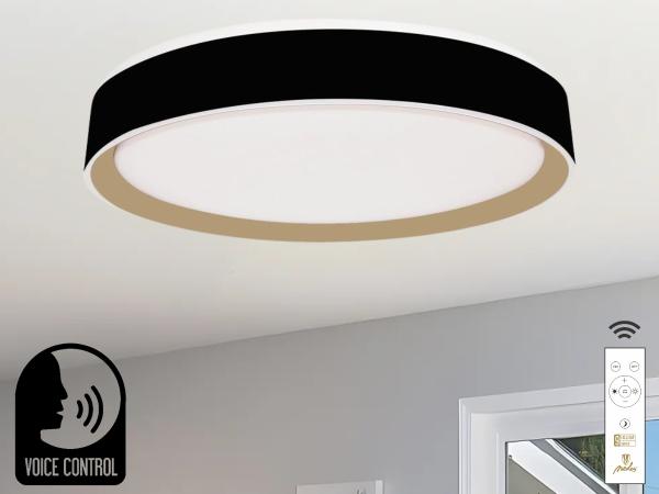 LED ceiling light OPAL + RC + VOICE CONTROL 48W - LC902MBV