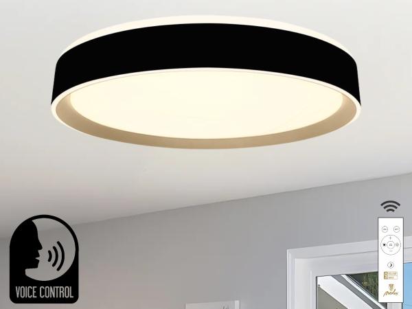 LED ceiling light OPAL + RC + VOICE CONTROL 48W - LC902MBV 1