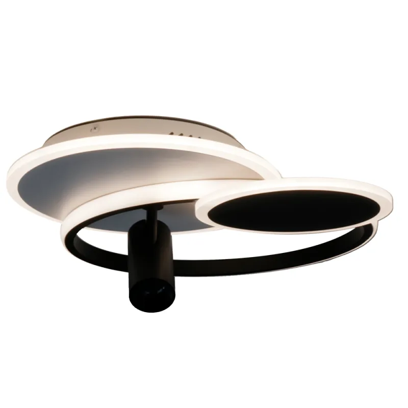 LED ceiling light with remote control 65W - TA1326/WB 14