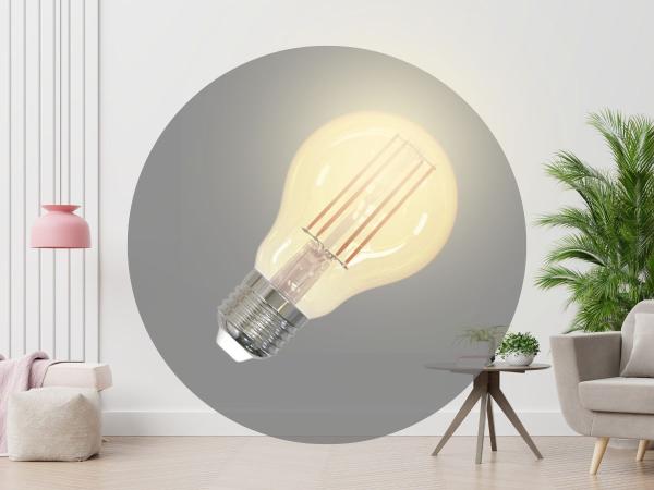 LED dimmable filament 12W - A60 / E27 / 2000K - ZLF513DV 1