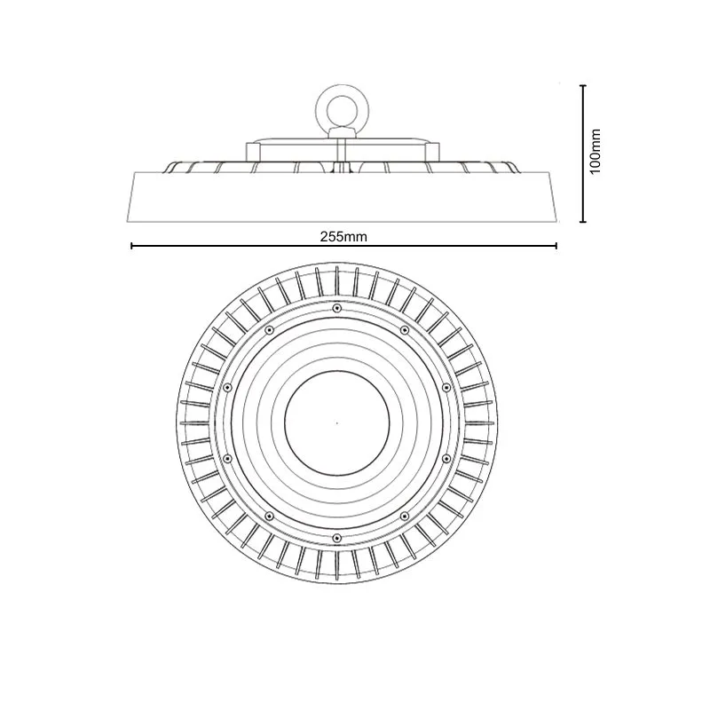 LED light UFO 100W / IP65 / 5000K - LU421