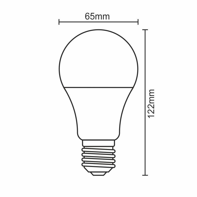 LED bulb 13,5W - A65 / E27 / SMD / 6500K - ZLS505 3