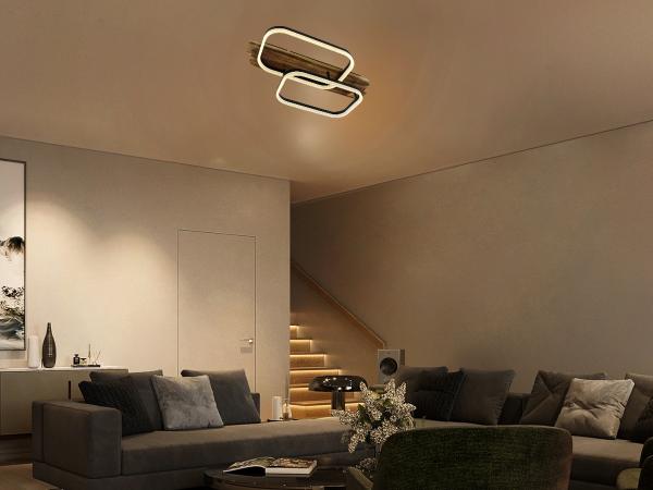 LED ceiling light + remote control 95W - TA1301/BW 3