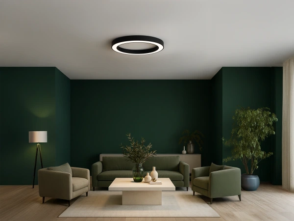 LED ceiling light 100W - CL7433 1