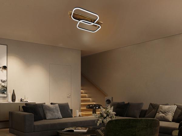 LED ceiling light + remote control 95W - TA1301/BW 2