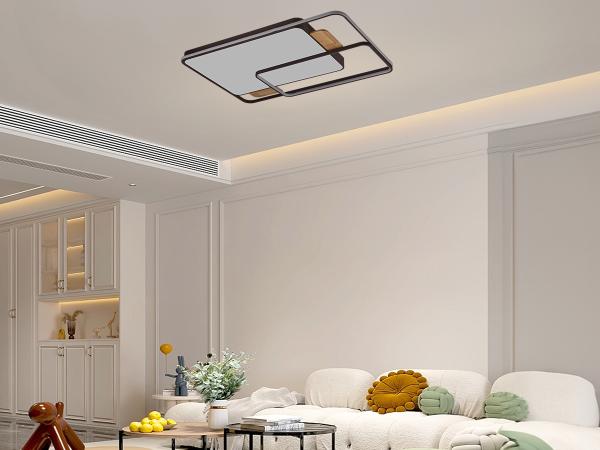 LED ceiling light with remote control 280W - J1342/BRW 2