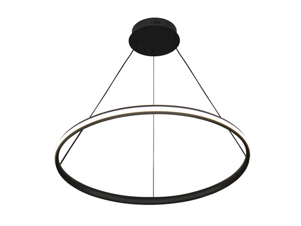 LED pendant light with remote control 55W - TA2305/B 3
