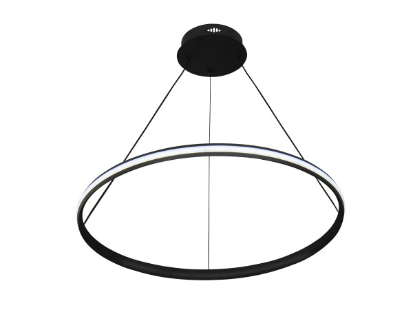 LED pendant light with remote control 55W - TA2305/B 5