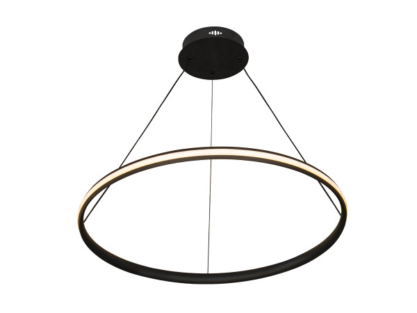 LED pendant light with remote control 55W - TA2305/B 4