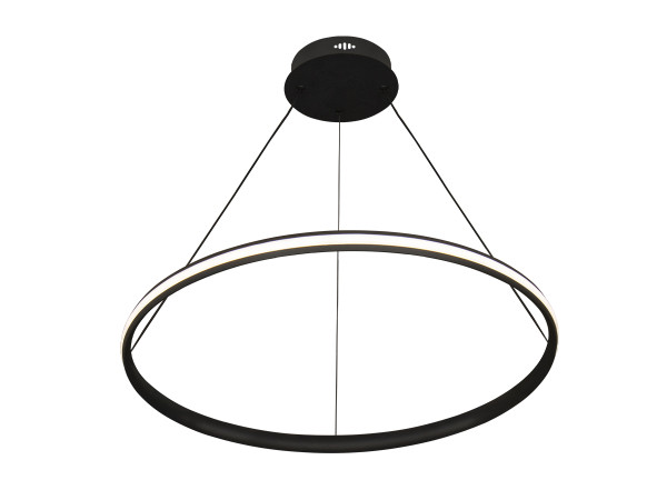 LED pendant light with remote control 55W - TA2305/B 6
