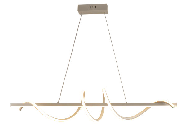 LED pendant light with remote control 50W - TA2316/W 4