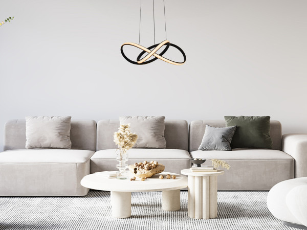 LED pendant light with remote control 65W - TA2310/B 3