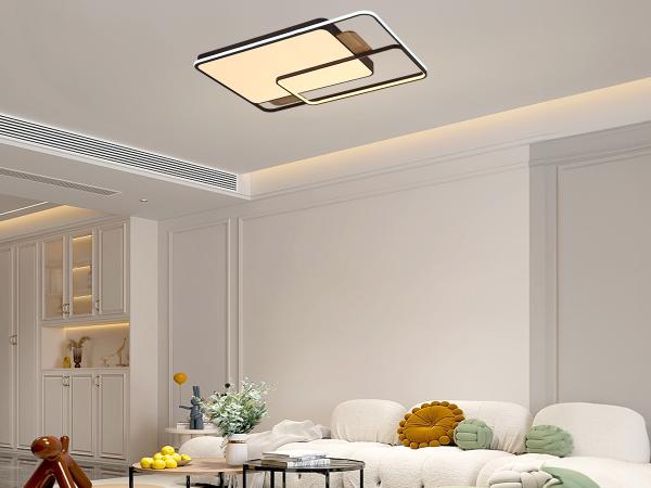 LED ceiling light with remote control 280W - J1342/BRW 3