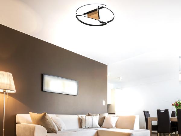 LED ceiling light with remote control 75W - TA1311/BW 3