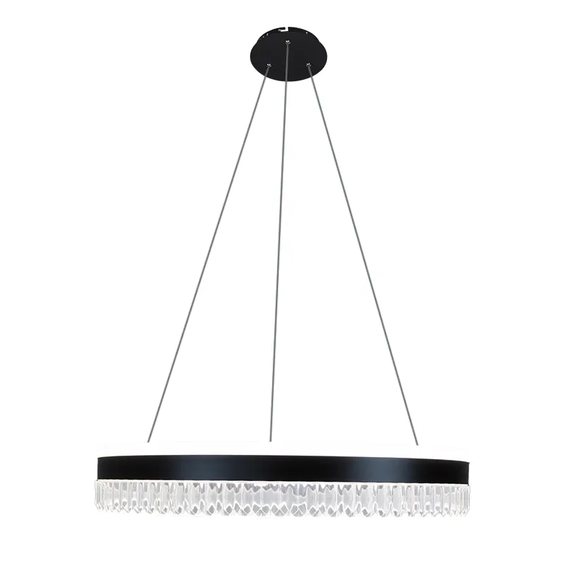 LED luxury pendant light with remote control 80W - TA2302/B