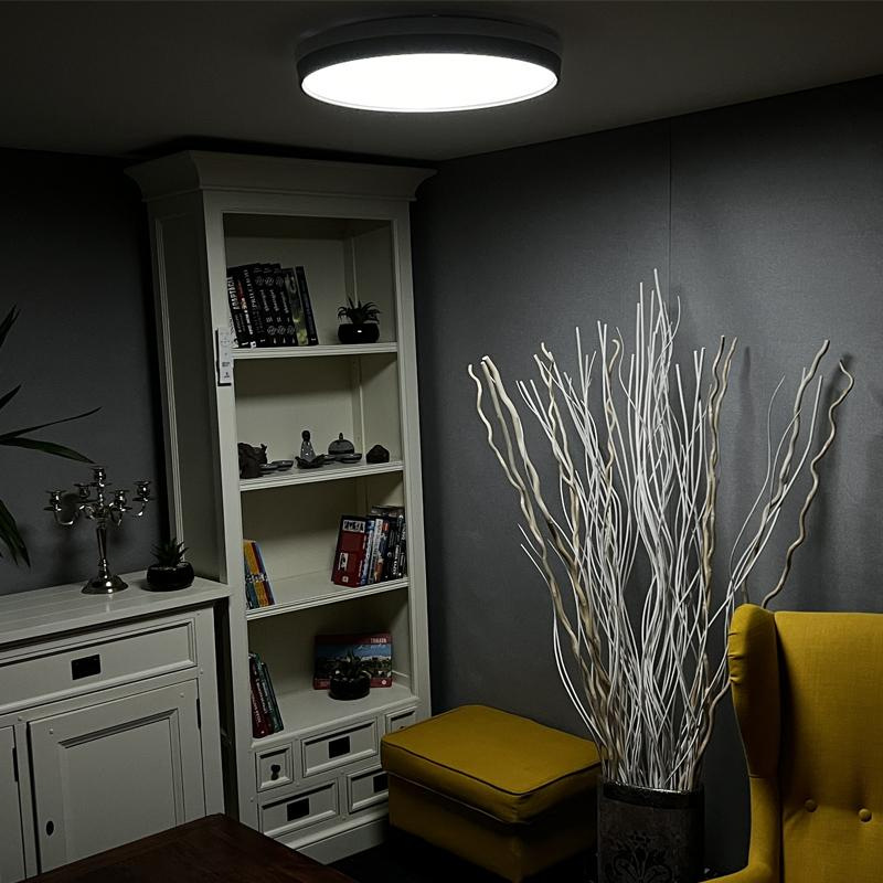 LED ceiling lamp OPAL + remote control + Wifi 48W - LC902I 4